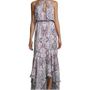 Parker Francesca Tired Maxi Dress